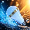 General lighting: Incandescent lamp, white bulb, tungsten filament, warm light, home, bedroom, living room Specification image